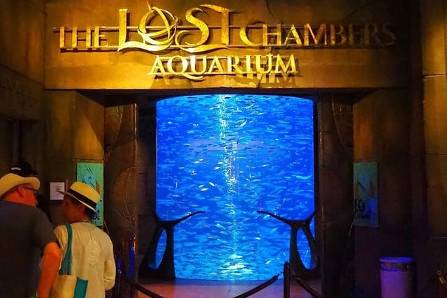 Lost Chamber Aquarium